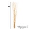 Uniquewise 12 pcs Natural Decorative Dry Branches Authentic Sticks, Home Decoration and Wedding Craft, DIY Greenery Plants Craft Vases fillers Garden Hotel Farmhouse Decor
